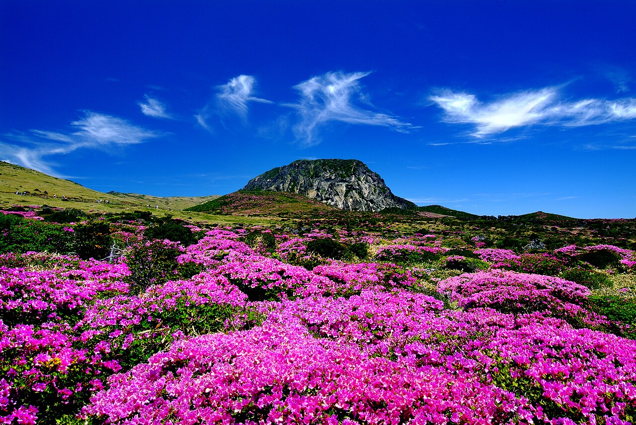 Mount Halla in Spring